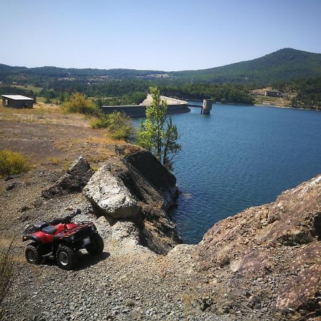 "Porodica Markovic" Borsko Jezero Beljevina Exteriör bild