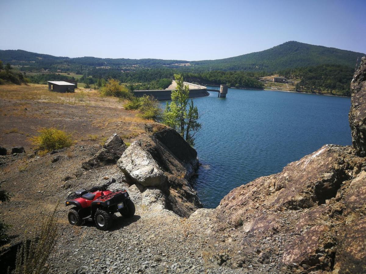 "Porodica Markovic" Borsko Jezero Beljevina Exteriör bild