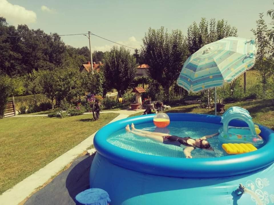 "Porodica Markovic" Borsko Jezero Beljevina Exteriör bild
