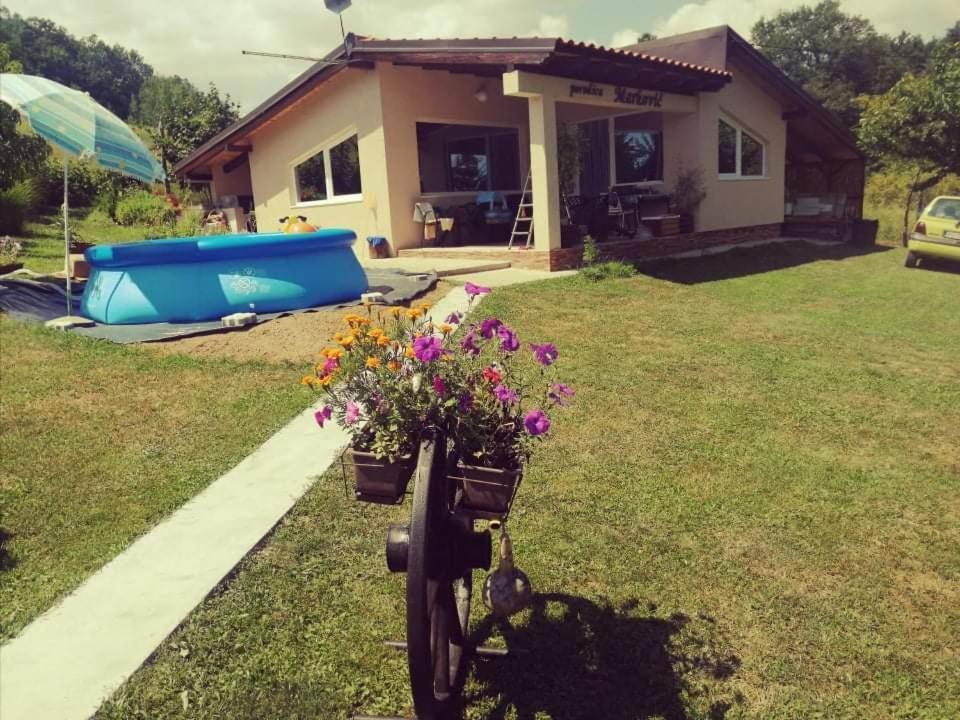 "Porodica Markovic" Borsko Jezero Beljevina Exteriör bild